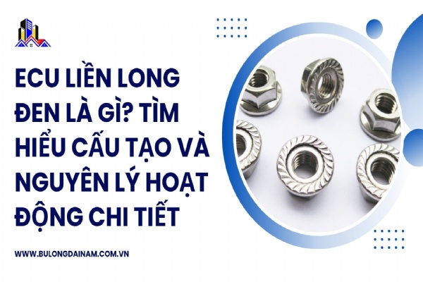Ecu liền long đen là gì? Tìm hiểu cấu tạo và nguyên lý hoạt động chi tiết