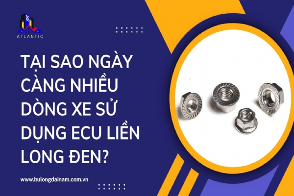 Tại sao ngày càng nhiều dòng xe sử dụng ecu liền long đen?