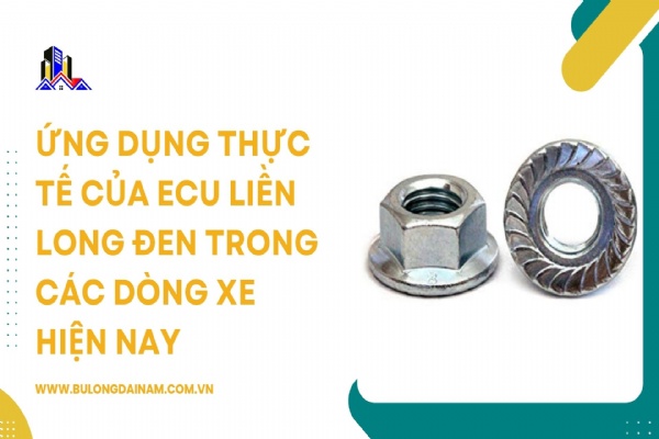 Ứng dụng thực tế của ecu liền long đen trong các dòng xe hiện nay